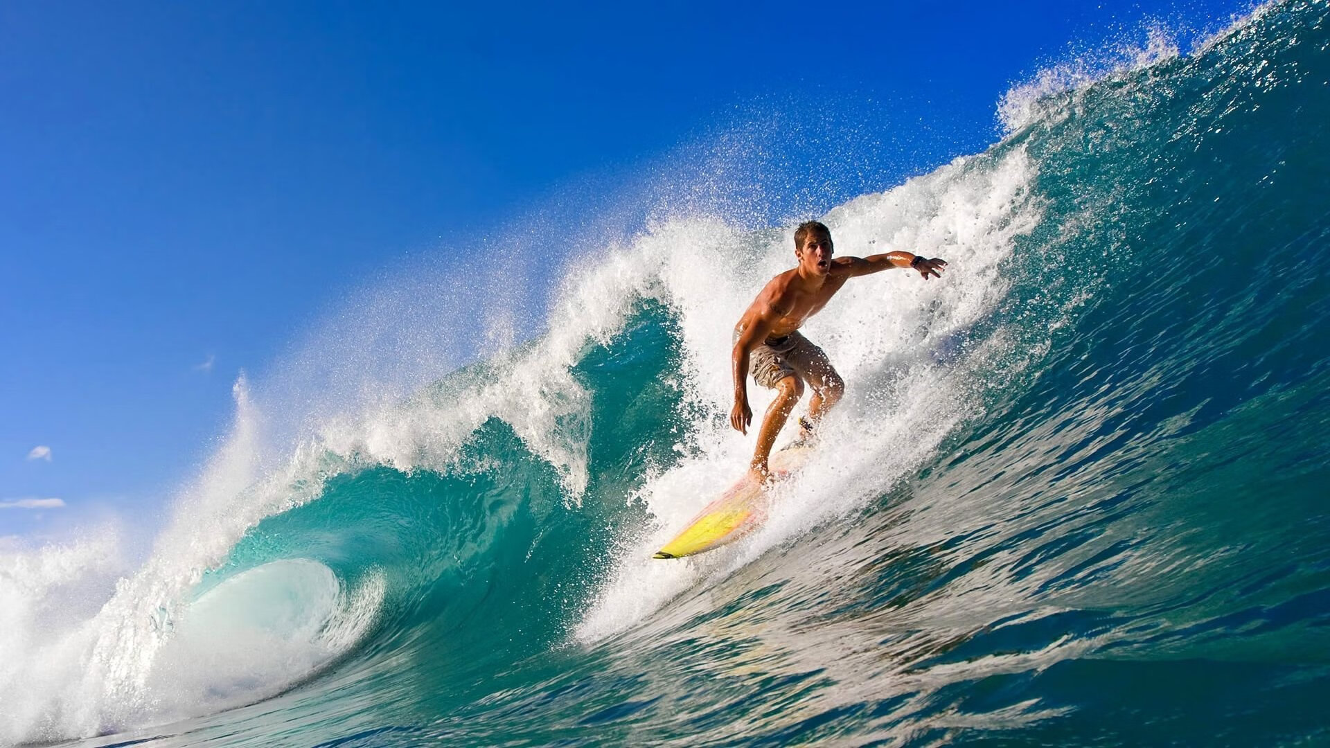 外界关注焦点转向梯队建设多项成果显示体系建设效果明显